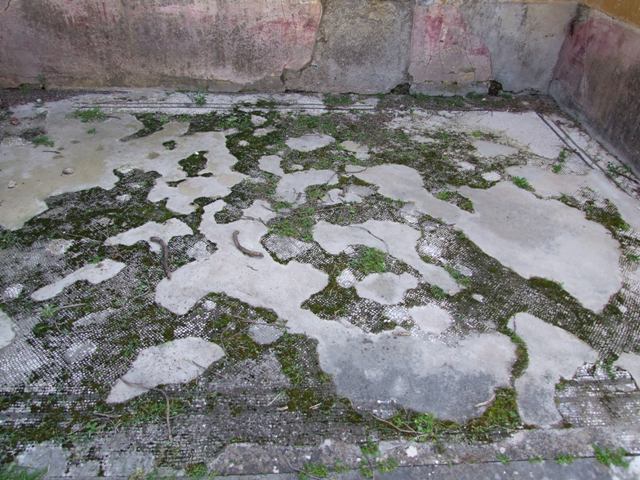 VII.4.31 Pompeii.  March 2009.  Room 13.  Corridor on west side of Tablinum. Looking south.