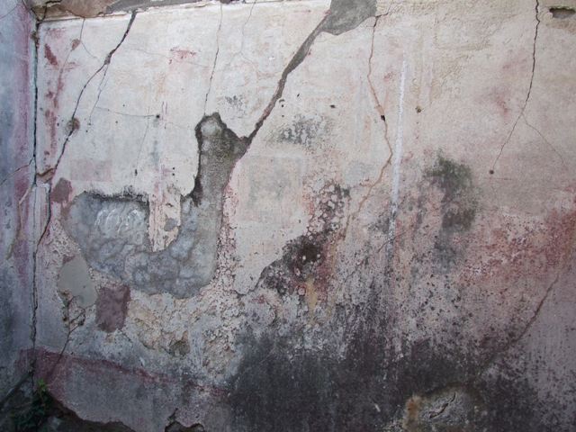 VII.4.31 Pompeii.  March 2009.   Room 15.  North wall.