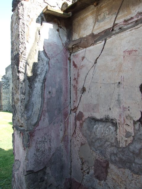 VII.4.31 Pompeii.  March 2009.  Room 15.  West wall.