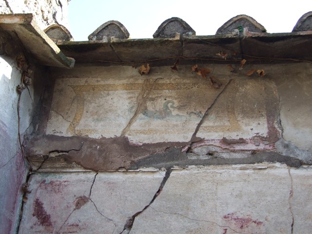 VII.4.31 Pompeii.  March 2009.  Room 15.  South wall.