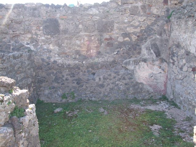 VII.4.31 Pompeii.  March 2009.  Room 6. Ala.  West wall.
