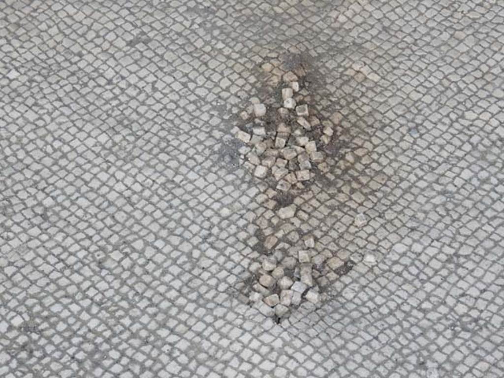 VII.4.48 Pompeii. May 2015. Room 11, detail of “wear and tear” of mosaic floor in tablinum. Photo courtesy of Buzz Ferebee.
