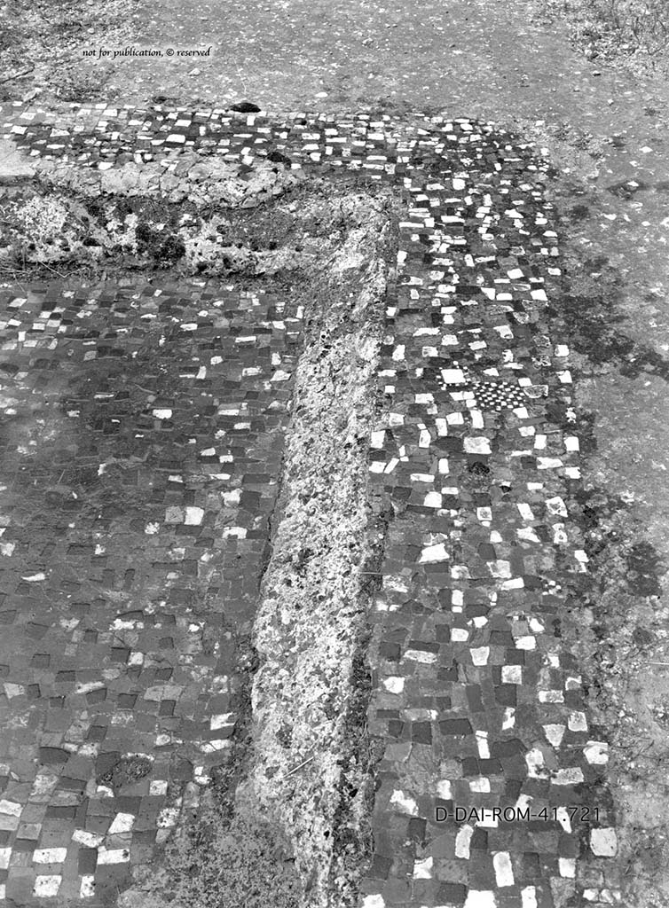 VII.6.10/11/16, Pompeii. c.1930. Flooring in atrium and side of impluvium. 
DAIR 41.721. Photo  Deutsches Archologisches Institut, Abteilung Rom, Arkiv.
See Pernice, E.  1938. Pavimente und Figrliche Mosaiken: Die Hellenistische Kunst in Pompeji, Band VI. Berlin: de Gruyter, (p. 84-5, and Taf. 38,2 above). 
According to PPM,
Particularly interesting was the flooring of the atrium (61) in lava and mortar wrought with flakes of green, red, yellow and white limestone, and the masonry impluvium covered in cocciopesto with a moulded edge that Pernice thought was very elegant. Seen in the cocciopesto border and the base were black, gray, yellow, pink, green, and white flakes, roughly square in shape, with a disposition not entirely regular.
(Particolarmente interessante era la pavimentazione dellatrio (61) in battuto di lava e malta con scaglie di calcare verde, rosso, giallo e bianco, e limpluvio in muratura rivestito di cocciopesto con un bordo dal profilo modanato che colpi Pernice per la sua eleganza. I bordi e il fondo presentavano allettate nel cocciopesto, scaglie nere, grigie, gialle, rosa, verdi, bianche, di forma allincirca quadrangolare, con disposizione non del tutto regolare). 
See PPM VII. 7, (p.180)
