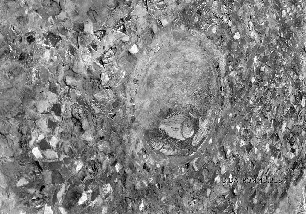 VII.6.38 Pompeii. 1940. Room 29, fish emblema in centre of floor. Oecus on north side of entrance.  
DAIR 40.328. Photo  Deutsches Archologisches Institut, Abteilung Rom, Arkiv. 