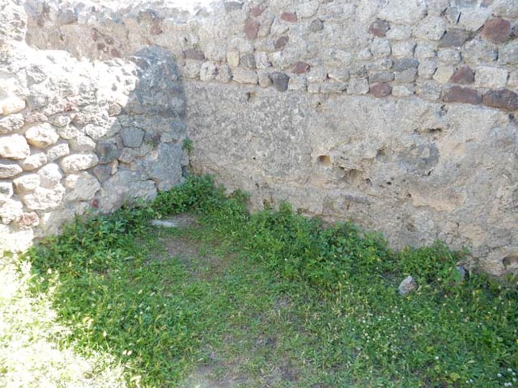 VII.7.10 Pompeii. May 2018. Oecus (m), south wall and south-west corner, and west wall. 
Photo courtesy of Buzz Ferebee. 
