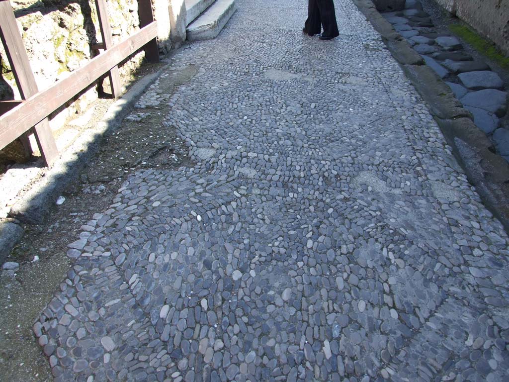 VII.7.12 Pompeii. March 2009. Inlaid pebble pavement on Via Marina.