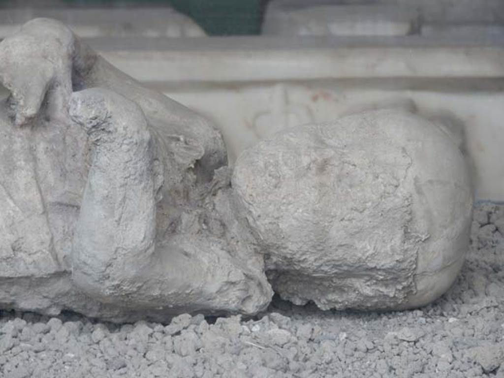 VII.7.29 Pompeii. May 2015. Detail of head of child found in VI.17.42. Photo courtesy of Buzz Ferebee.

