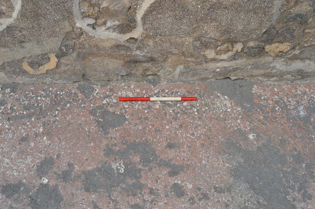 VII.7.32 Pompeii. March 2019. Detail from pavement on east side of entrance doorway.
Foto Taylor Lauritsen, ERC Grant 681269 DÉCOR.

