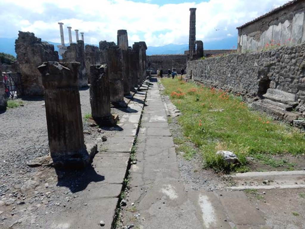 VII.7.32 Pompeii. May 2018. Looking south along east side. Photo courtesy of Buzz Ferebee.