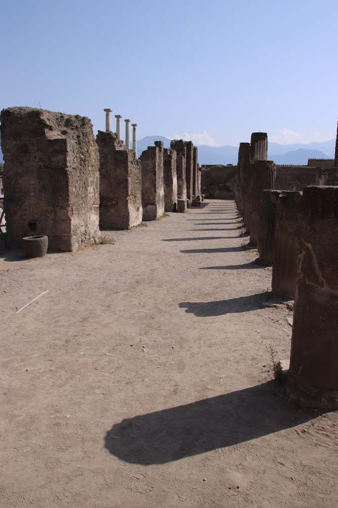 VII.7.32 Pompeii. September 2019. Looking south from north-east corner of colonnade.
Photo courtesy of Klaus Heese.
