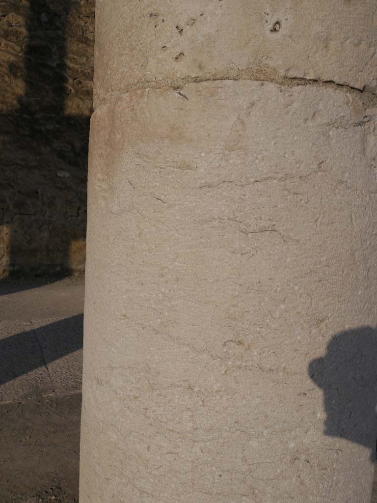 VII.8 Pompeii Forum. March 2019. Detail of column on west side of Forum.
Foto Anne Kleineberg, ERC Grant 681269 DÉCOR.
