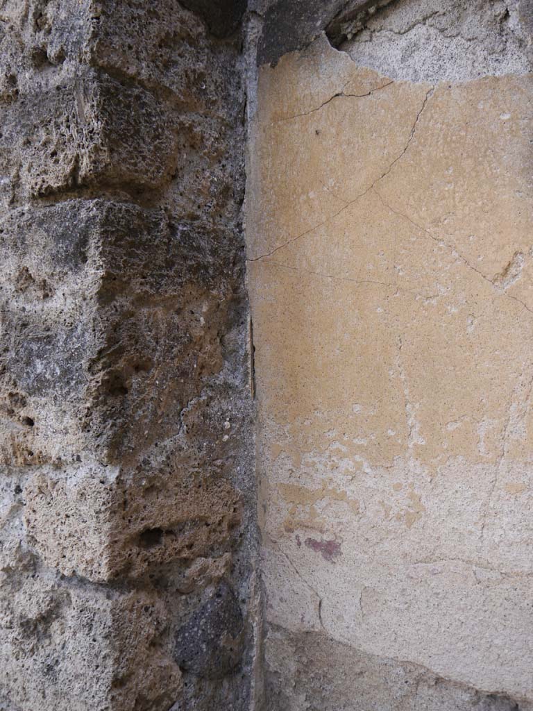 VII.8.01 Pompeii. September 2018. Painted decoration in south-west corner on south wall. 
Foto Anne Kleineberg, ERC Grant 681269 DÉCOR.

