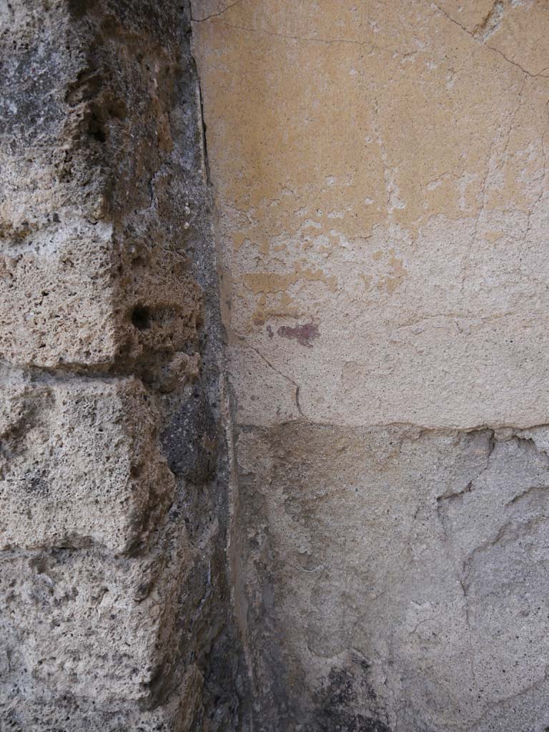 VII.8.01 Pompeii. September 2018. Detail of painted stucco in south-west corner on south wall. 
Foto Anne Kleineberg, ERC Grant 681269 DÉCOR.
