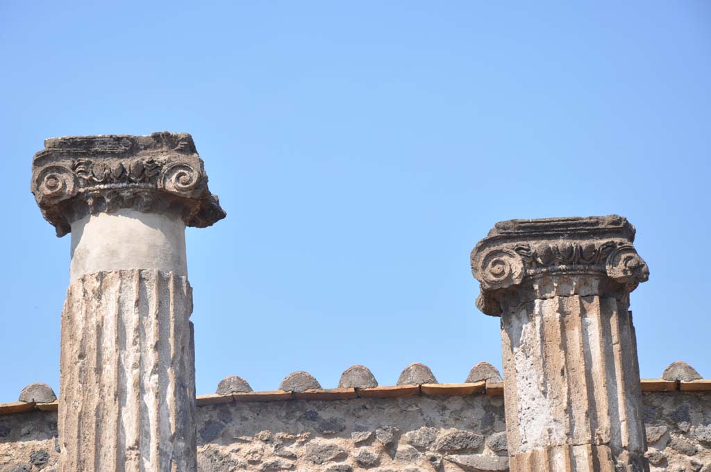 VII.8.01 Pompeii. July 2017. Detail of capitals from columns on west side of Temple, at south end.
Foto Anne Kleineberg, ERC Grant 681269 DÉCOR.
