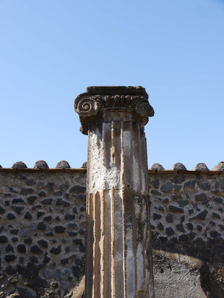VII.8.01 Pompeii. September 2018. Detail of column near west wall. 
Foto Anne Kleineberg, ERC Grant 681269 DÉCOR.

