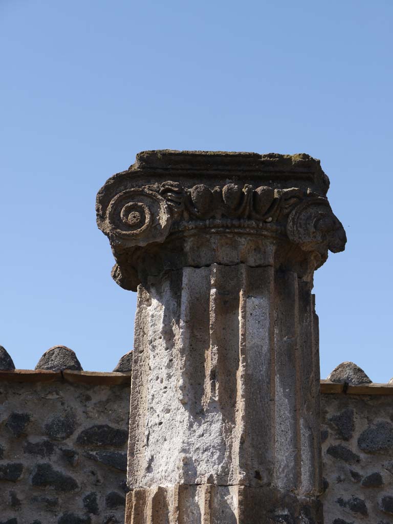 VII.8.01 Pompeii. September 2018. Detail from column near west wall. 
Foto Anne Kleineberg, ERC Grant 681269 DÉCOR.

