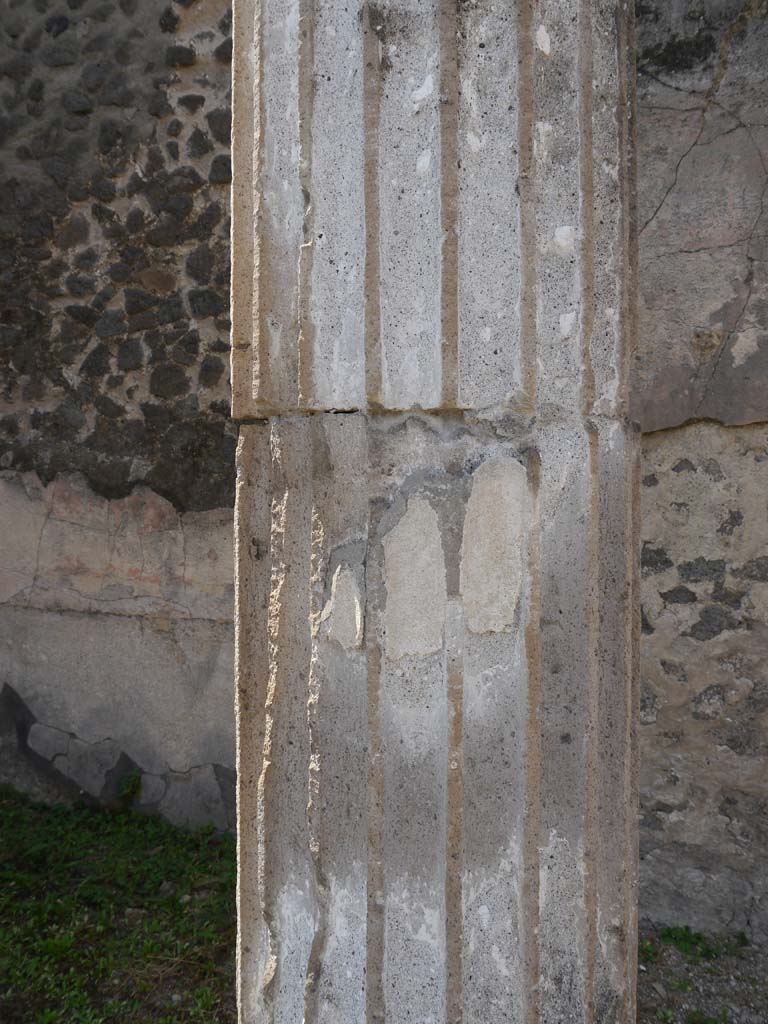 VII.8.01 Pompeii. September 2018. Detail from column near west wall.  
Foto Anne Kleineberg, ERC Grant 681269 DÉCOR.
