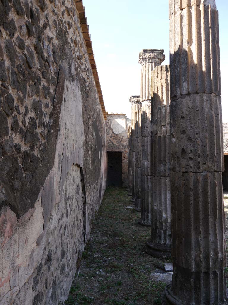 VII.8.01 Pompeii. September 2018. Looking north along west wall in Temple.
Foto Anne Kleineberg, ERC Grant 681269 DÉCOR.
