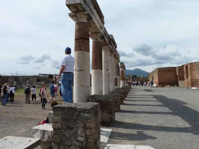 VII.9.1 Pompeii. May 2010. Eumachia’s Building portico. Looking north.