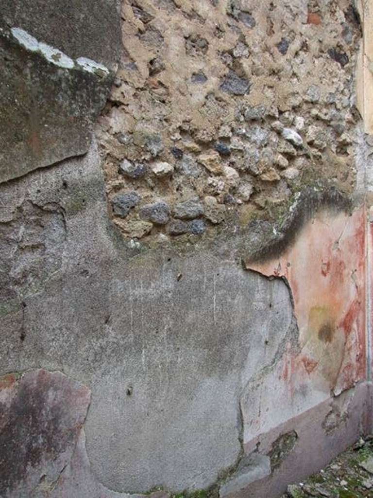 VII.11.14 Pompeii.  March 2009. Room 3. Triclinium. West wall.