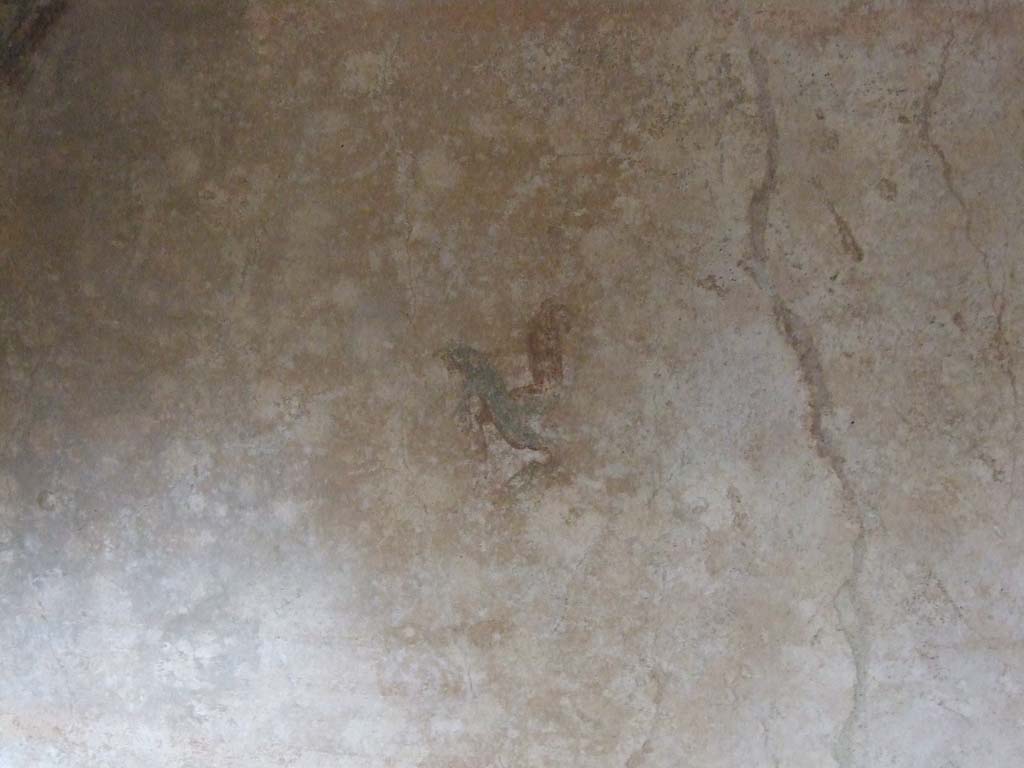 VII.12.20  Pompeii.  March 2009. Room 1. North wall with remains of painted plaster.