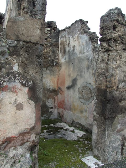 VII.14.5 Pompeii.  March 2009. Room 3. West wall.