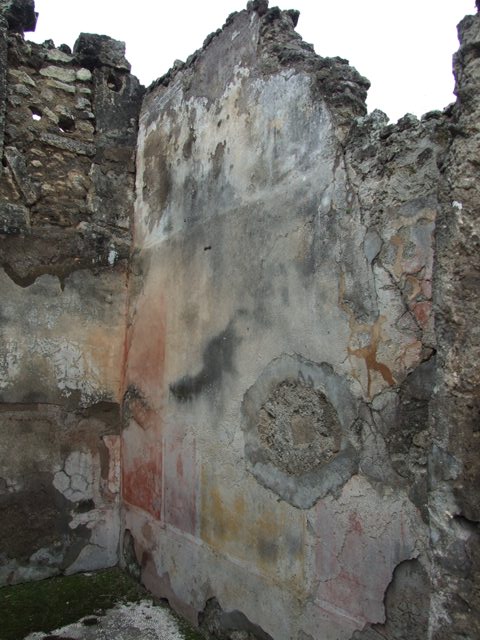 VII.14.5 Pompeii.  March 2009. Room 3. South wall.