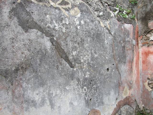 VII.14.5 Pompeii.  March 2009. Room 13. West wall.