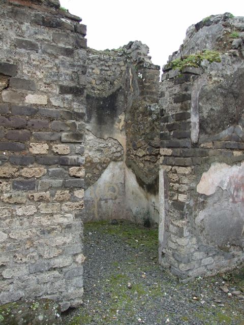 VII.14.5 Pompeii.  March 2009. Room 14. South wall.