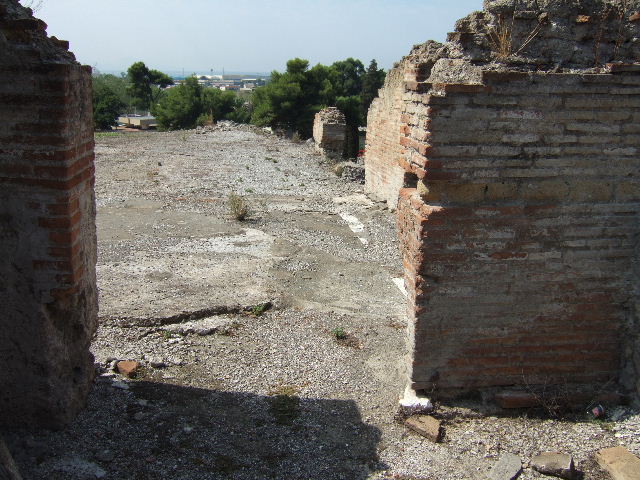 VII.16.16 Pompeii. December 2007. Looking north along inside of boundary wall.
