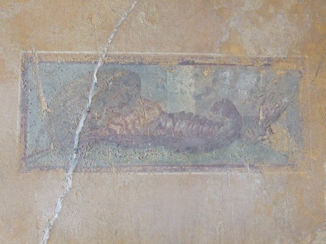 VII.16.17-22 Pompeii. December 2007. North wall of cubiculum with doorway.