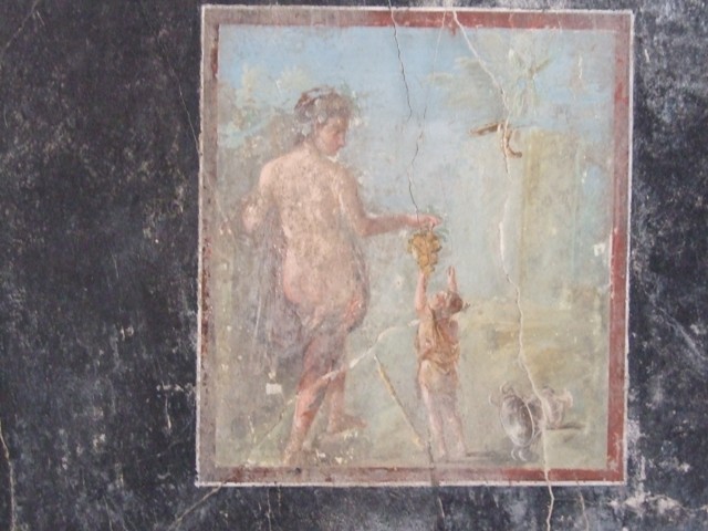 VII.16.17-22 Pompeii. December 2007. Wall painting from centre of south wall of Narcissus and a cupid.