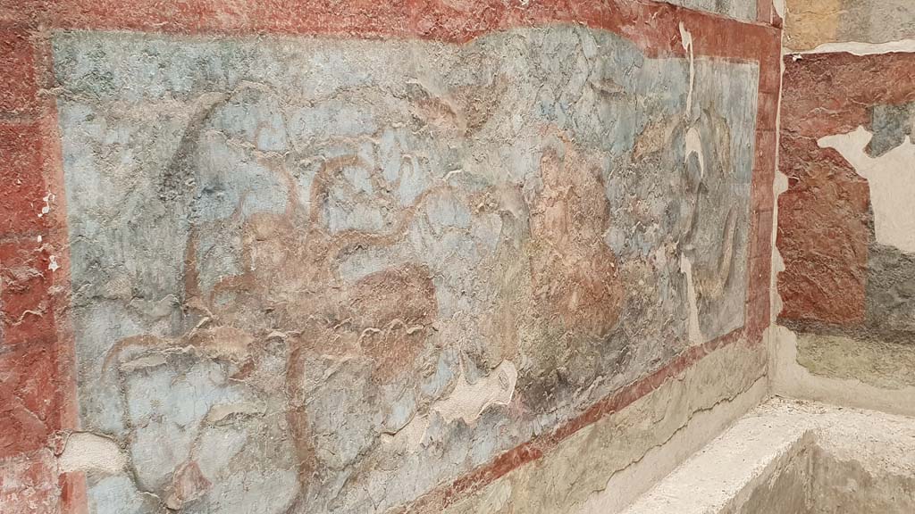 VII.16.a Pompeii. August 2021. Room 9, west wall. Octopus scene.
Foto Annette Haug, ERC Grant 681269 DÉCOR.
