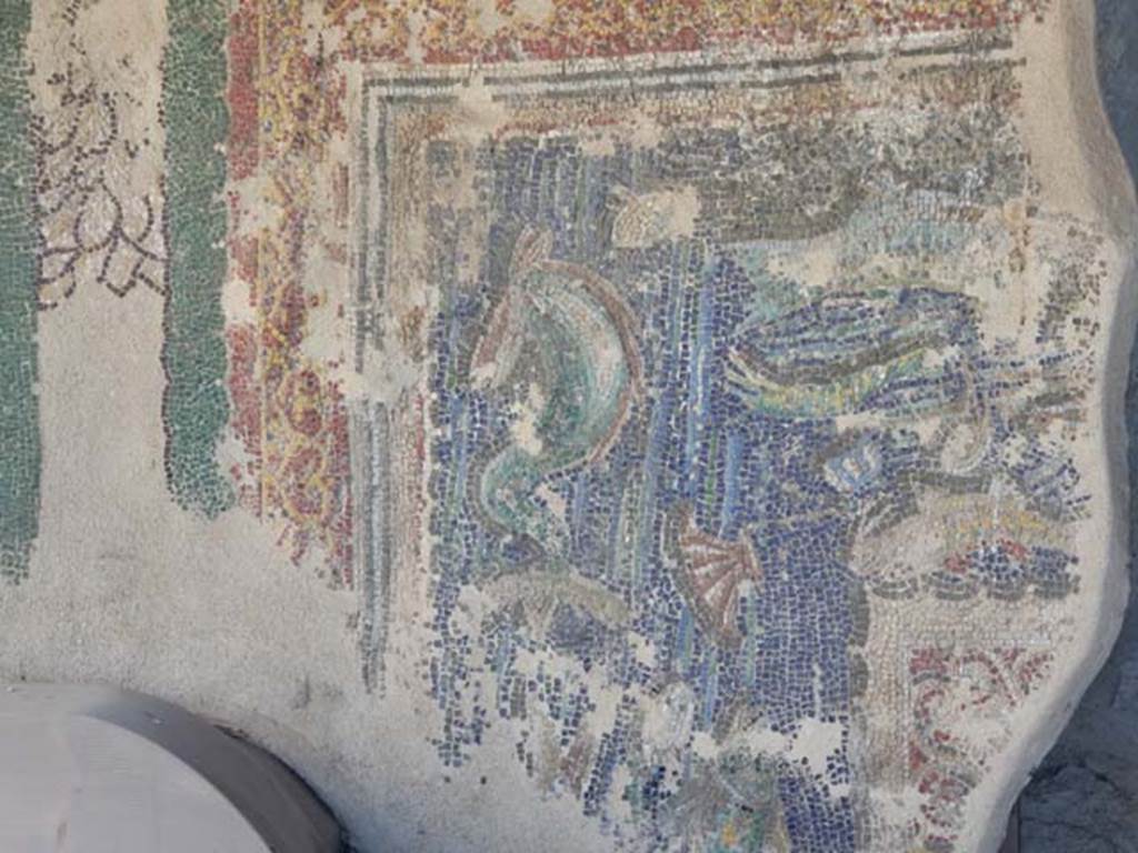 VII.16.a Pompeii. May 2018. First mosaic fragment lower part belonging to the suburban baths now in VII.7.5.
Photo courtesy of Buzz Ferebee.
This frame is decorated with shells and fishes, among which there is a darting dolphin.
See Carratelli, G. P., 1990-2003. Pompei: Pitture e Mosaici: Vol. VII.  Roma: Istituto della enciclopedia italiana, p. 257.
