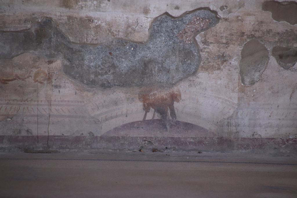 VIII.2.23 Pompeii. October 2022. Detail from painted zoccolo/dado on the south wall. Photo courtesy of Klaus Heese.