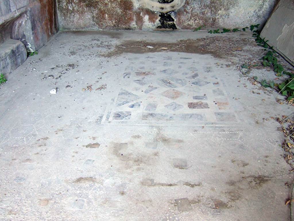 VIII.2.26 Pompeii. September 2005. Floor in triclinium, looking north. The floor is of cocciopesto with a pattern of white hexagons and lozenges each with a cross in. Around the edge of the room is a mosaic border of two white bands between three black. The centre panel has marble pieces inset in a white mosaic.
