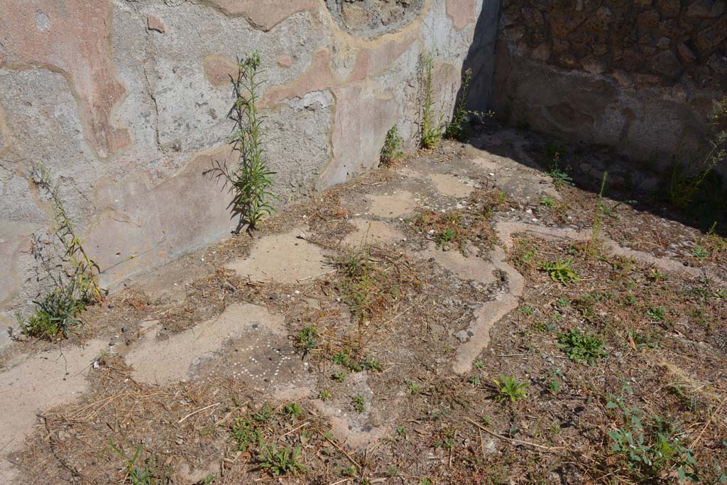 VIII.2.39 Pompeii. September 2019. Room f, detail of flooring near north wall.
Foto Annette Haug, ERC Grant 681269 DÉCOR
According to PPM –
“The flooring was in cocciopesto with a net of hexagons juxtaposed with a swastika in the centre; the marginal border consisted of scattered tesserae.”
 See Carratelli, G. P., 1990-2003. Pompei: Pitture e Mosaici. Roma: Istituto della enciclopedia italiana, (no.11, p.316).

