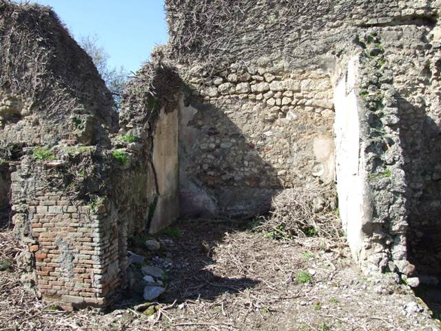 VIII.3.4 Pompeii.  March 2009.  Room 14.  West Portico, looking south towards Room 17.