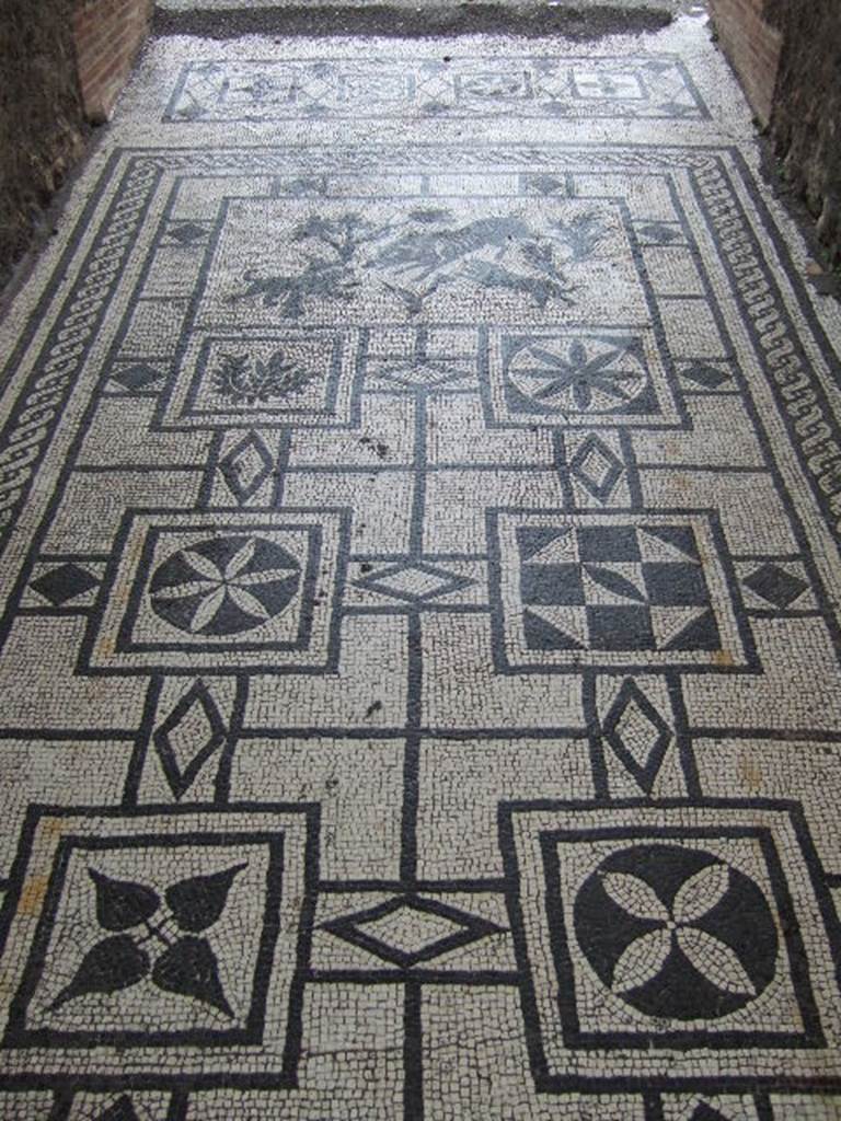 VIII.3.8 Pompeii. December 2005. Mosaic in entrance corridor.
