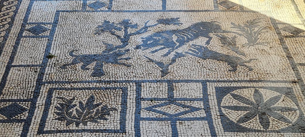 VIII.3.8 Pompeii. April 2022. Mosaic of boar being attacked by dogs. Photo courtesy of Giuseppe Ciaramella.