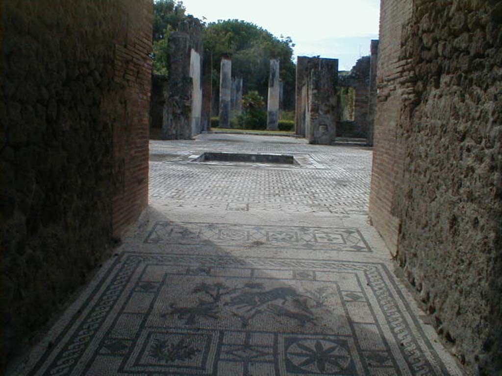 VIII.3.8 Pompeii. September 2004. Mosaic floor of entrance corridor and atrium, looking south.
At the end of the fauces corridor was a mosaic of a boar being attacked by two dogs.
The decoration around the edge of the atrium mosaic was of a fortified city, gates and castellated towers set at intervals around a city wall.

On 18th April 1819, two lettered seals were found in this house. 
One read as –

Q(uinti) DELLI
AMICI      [CIL X 8058, 30]

The other read –

C(ai) IULI
SVAVIS      [CIL X 8058, 43]

See Pagano, M. and Prisciandaro, R., 2006. Studio sulle provenienze degli oggetti rinvenuti negli scavi borbonici del regno di Napoli. Naples: Nicola Longobardi.  (p. 119)
