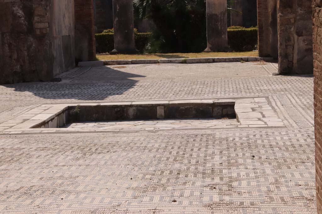 VIII.3.8 Pompeii. September 2019. 
Looking south across the atrium flooring towards the impluvium and across towards the tablinum and peristyle.
Photo courtesy of Klaus Heese.
