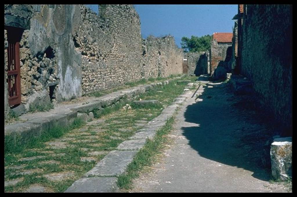 VIII.3.17 Pompeii.  Vcolo della Regina looking east. Photographed 1970-79 by Gnther Einhorn, picture courtesy of his son Ralf Einhorn.

