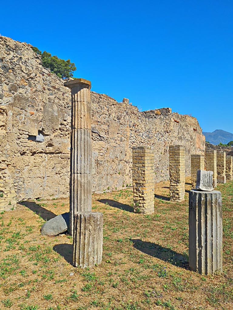 VIII.6.2 Pompeii. April 2022. 
Looking towards west side, from entrance doorway. Photo courtesy of Giuseppe Ciaramella.
