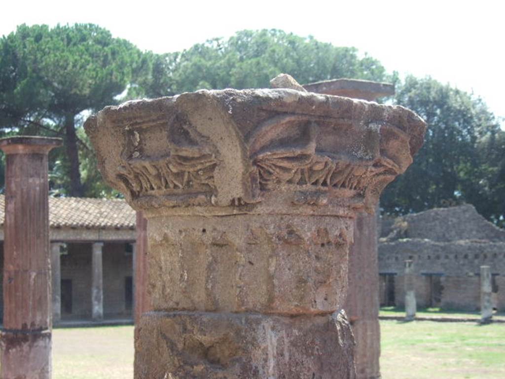 VIII.7.16 Pompeii. July 2021. Detail of Doric column.
Foto Annette Haug, ERC Grant 681269 DÉCOR.

