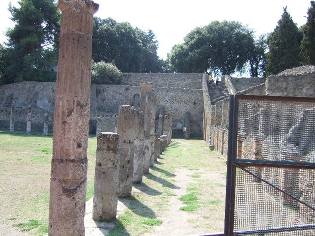 VIII.7.16 Pompeii. June 2019. Looking south along east side, from north-east corner.
Photo courtesy of Buzz Ferebee.
