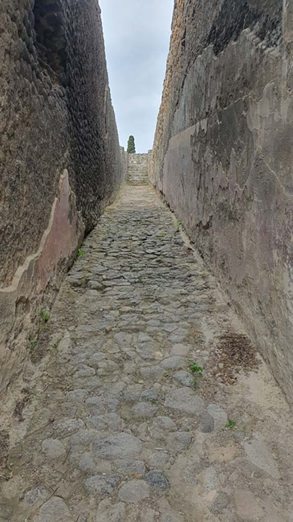 VIII.7.21 Pompeii. August 2021. Looking west along ramp from entrance doorway.
Foto Annette Haug, ERC Grant 681269 DÉCOR.
