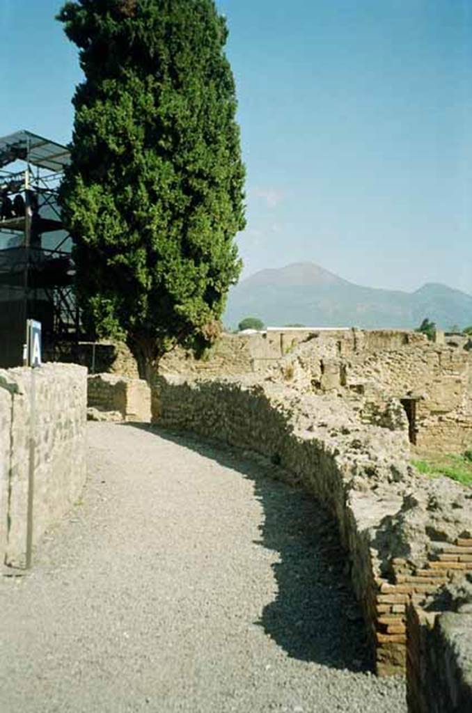 VIII.7.20 Pompeii. June 2010. Remains of vaulted corridor over which ran the summa cavea. 
Photo courtesy of Rick Bauer.