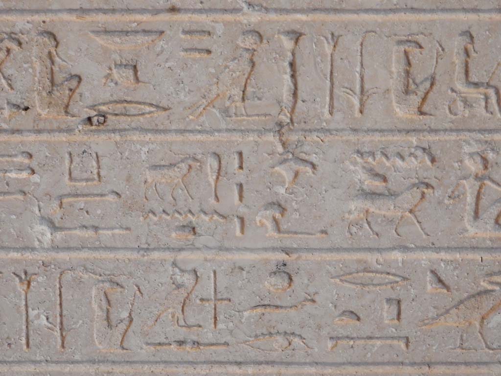 VIII.7.28 Pompeii. June 2019. Detail of some of the hieroglyphs from the Limestone stele. Photo courtesy of Buzz Ferebee.