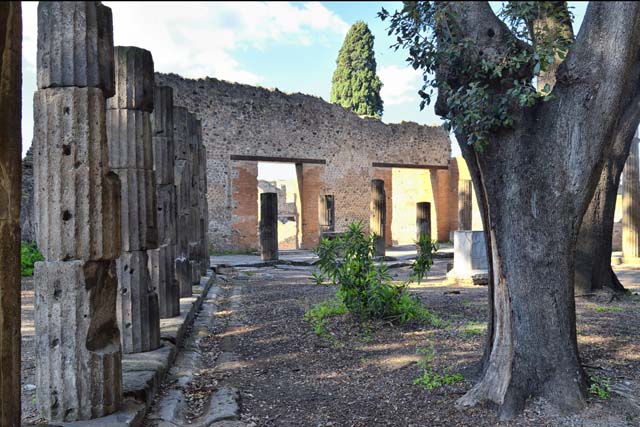 VIII.7.30 Pompeii. April 2018. Looking north along west side. Photo courtesy of Ian Lycett-King. 
Use is subject to Creative Commons Attribution-NonCommercial License v.4 International.
